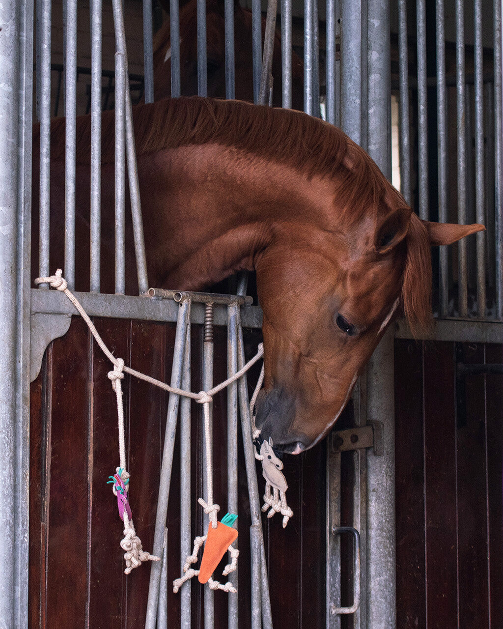 Cintre de boîte à jouets Cheval